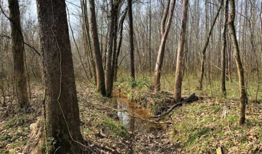 Photo of SOLD!!  30.39 Acres of Residential and Hunting Land with Home in Mecklenburg County VA!