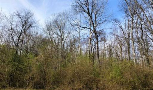 Photo of SOLD!!  30.39 Acres of Residential and Hunting Land with Home in Mecklenburg County VA!