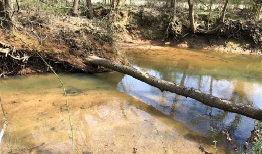 Photo of SOLD!!  30.39 Acres of Residential and Hunting Land with Home in Mecklenburg County VA!