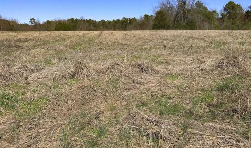 Photo of SOLD!!  32.19 Acres of Farm Land For Sale in Granville County NC!