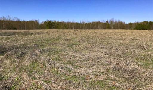 Photo of SOLD!!  32.19 Acres of Farm Land For Sale in Granville County NC!