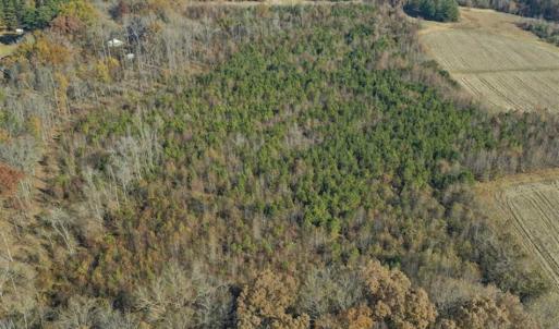 Photo of SOLD!!  32.19 Acres of Farm Land For Sale in Granville County NC!