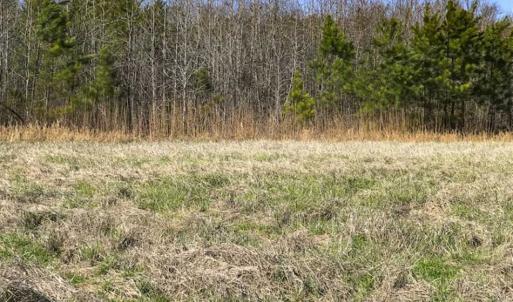 Photo of SOLD!!  32.19 Acres of Farm Land For Sale in Granville County NC!