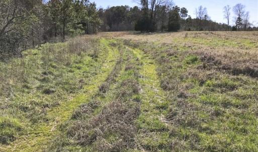 Photo of SOLD!!  32.19 Acres of Farm Land For Sale in Granville County NC!