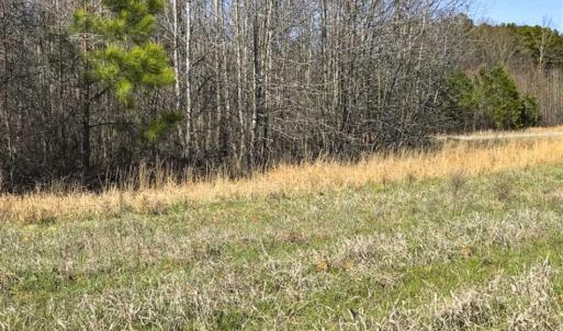 Photo of SOLD!!  32.19 Acres of Farm Land For Sale in Granville County NC!