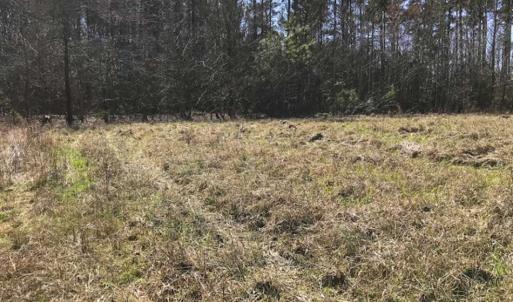 Photo of SOLD!!  32.19 Acres of Farm Land For Sale in Granville County NC!