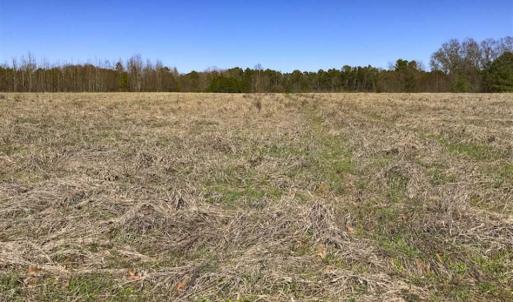 Photo of SOLD!!  32.19 Acres of Farm Land For Sale in Granville County NC!