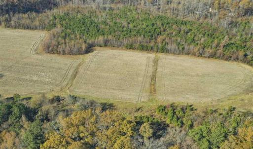 Photo of SOLD!!  32.19 Acres of Farm Land For Sale in Granville County NC!