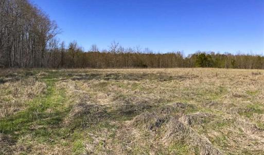 Photo of SOLD!!  32.19 Acres of Farm Land For Sale in Granville County NC!