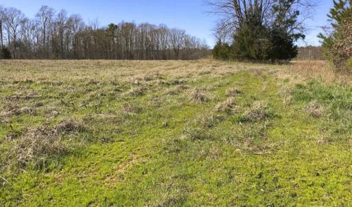 Photo of SOLD!!  32.19 Acres of Farm Land For Sale in Granville County NC!