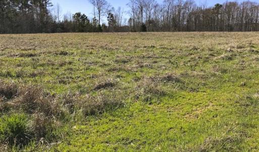 Photo of SOLD!!  32.19 Acres of Farm Land For Sale in Granville County NC!
