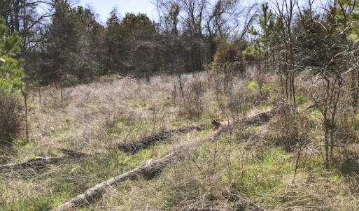 Photo of SOLD!!  32.19 Acres of Farm Land For Sale in Granville County NC!
