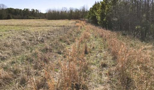 Photo of SOLD!!  32.19 Acres of Farm Land For Sale in Granville County NC!