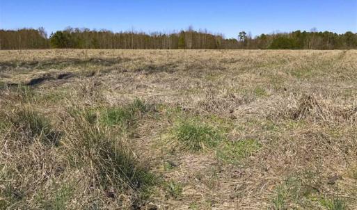 Photo of SOLD!!  32.19 Acres of Farm Land For Sale in Granville County NC!