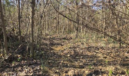 Photo of SOLD!!  32.19 Acres of Farm Land For Sale in Granville County NC!