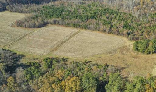 Photo of SOLD!!  32.19 Acres of Farm Land For Sale in Granville County NC!