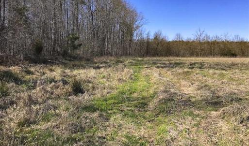 Photo of SOLD!!  32.19 Acres of Farm Land For Sale in Granville County NC!