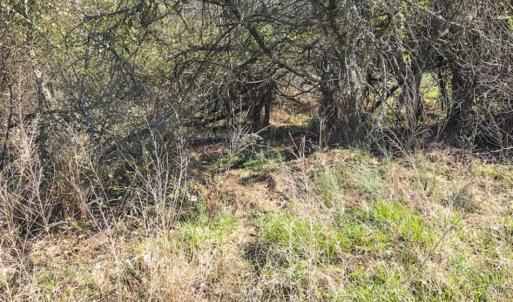 Photo of SOLD!!  32.19 Acres of Farm Land For Sale in Granville County NC!