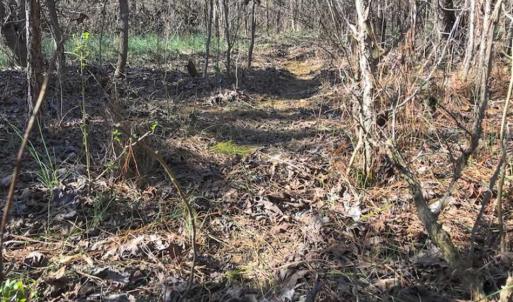 Photo of SOLD!!  32.19 Acres of Farm Land For Sale in Granville County NC!