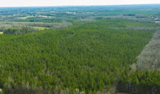Photo of UNDER CONTRACT!!  137.93 Acres of Investment Timber Land for Sale in Person County  NC!