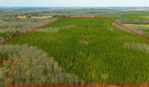 Photo of UNDER CONTRACT!!  137.93 Acres of Investment Timber Land for Sale in Person County  NC!