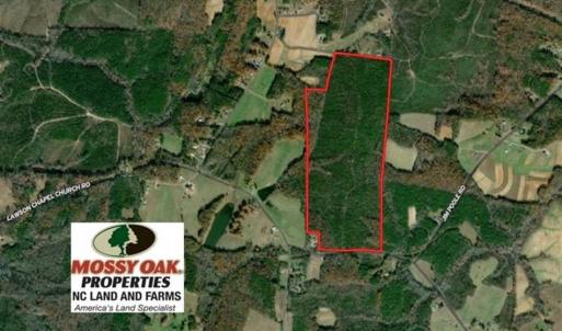 Photo of UNDER CONTRACT!!  137.93 Acres of Investment Timber Land for Sale in Person County  NC!