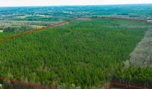 Photo of UNDER CONTRACT!!  137.93 Acres of Investment Timber Land for Sale in Person County  NC!