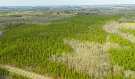 Photo of UNDER CONTRACT!!  137.93 Acres of Investment Timber Land for Sale in Person County  NC!