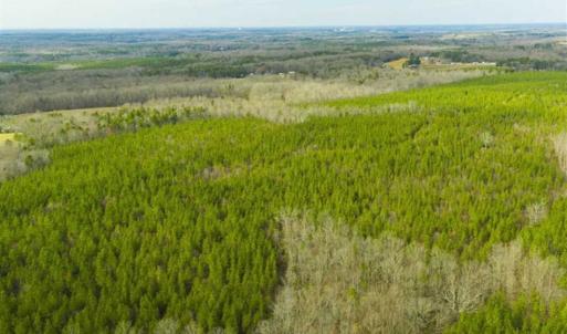 Photo of UNDER CONTRACT!!  137.93 Acres of Investment Timber Land for Sale in Person County  NC!