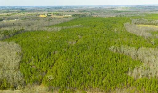 Photo of UNDER CONTRACT!!  137.93 Acres of Investment Timber Land for Sale in Person County  NC!