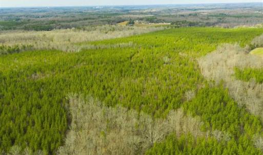 Photo of UNDER CONTRACT!!  137.93 Acres of Investment Timber Land for Sale in Person County  NC!
