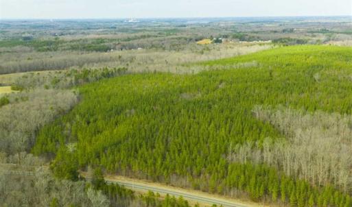 Photo of UNDER CONTRACT!!  137.93 Acres of Investment Timber Land for Sale in Person County  NC!