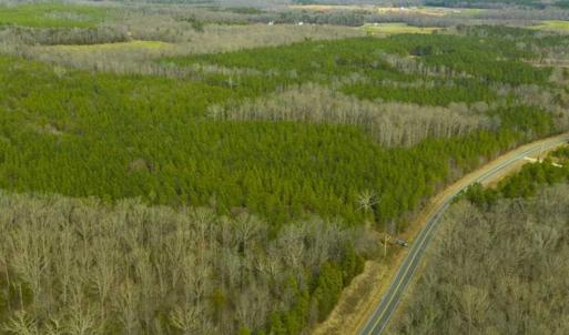 Photo of UNDER CONTRACT!!  137.93 Acres of Investment Timber Land for Sale in Person County  NC!