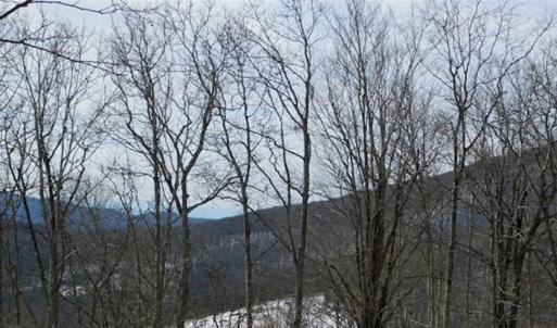 Photo of 3 Acres of Residential Land for Sale in Grayson County VA!