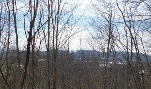 Photo of 3 Acres of Residential Land for Sale in Grayson County VA!