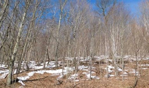 Photo of 3 Acres of Residential Land for Sale in Grayson County VA!