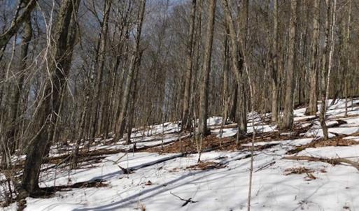 Photo of 3 Acres of Residential Land for Sale in Grayson County VA!