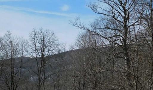 Photo of 3 Acres of Residential Land for Sale in Grayson County VA!