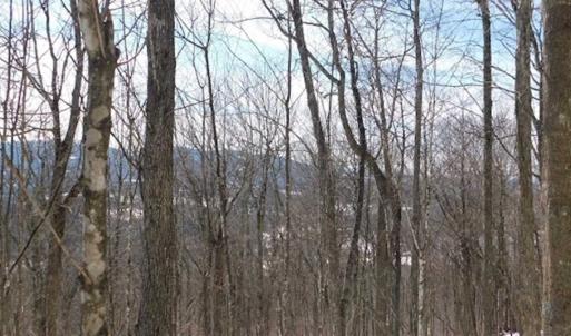 Photo of 3 Acres of Residential Land for Sale in Grayson County VA!