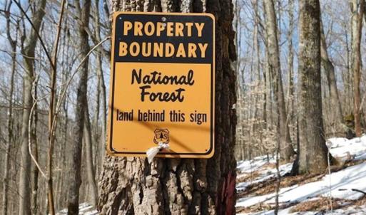 Photo of 3 Acres of Residential Land for Sale in Grayson County VA!