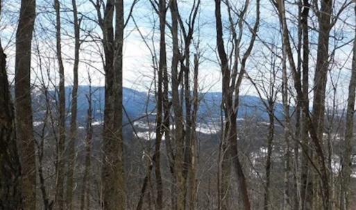 Photo of 3 Acres of Residential Land for Sale in Grayson County VA!