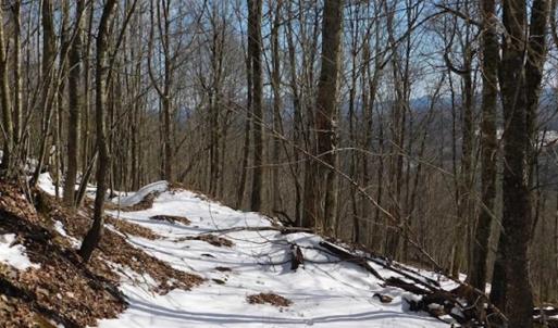 Photo of 3 Acres of Residential Land for Sale in Grayson County VA!