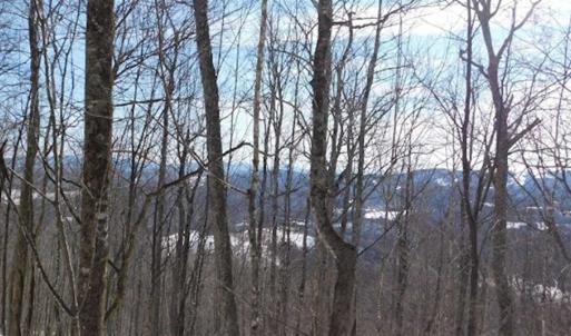 Photo of 3 Acres of Residential Land for Sale in Grayson County VA!