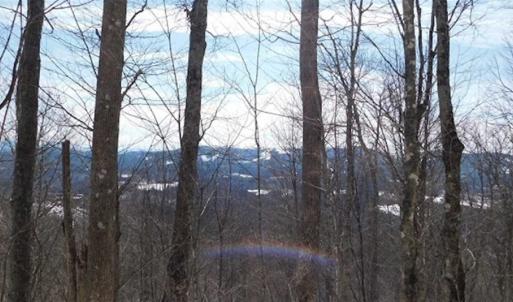 Photo of 3 Acres of Residential Land for Sale in Grayson County VA!