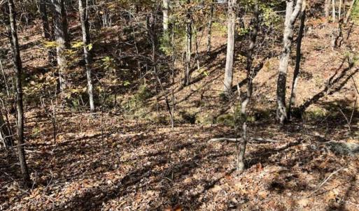Photo of SOLD!!  5 Acres of Residential and Hunting Land For Sale in Moore County NC!