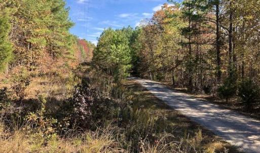 Photo of SOLD!!  5 Acres of Residential and Hunting Land For Sale in Moore County NC!