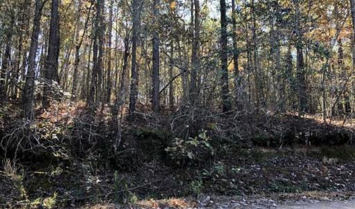 Photo of SOLD!!  5 Acres of Residential and Hunting Land For Sale in Moore County NC!