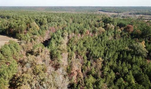 Photo of SOLD!!  5 Acres of Residential and Hunting Land For Sale in Moore County NC!