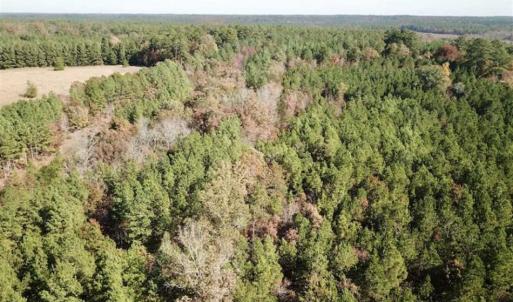 Photo of SOLD!!  5 Acres of Residential and Hunting Land For Sale in Moore County NC!