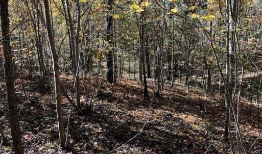 Photo of SOLD!!  5 Acres of Residential and Hunting Land For Sale in Moore County NC!